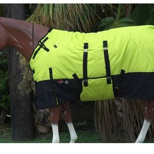 69” heavy weight turnout blanket neon green